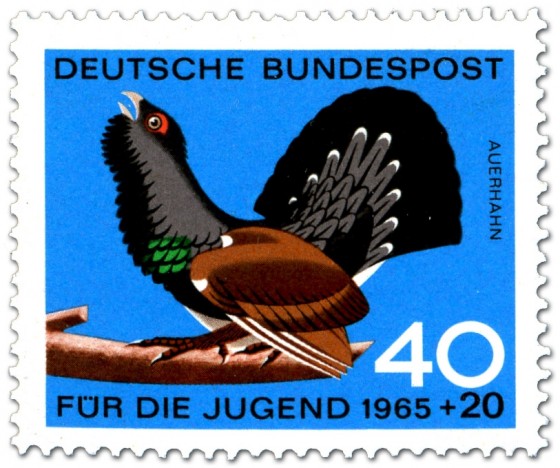 Stamp: Vogel: Auerhahn (Tetrao Urogallus)