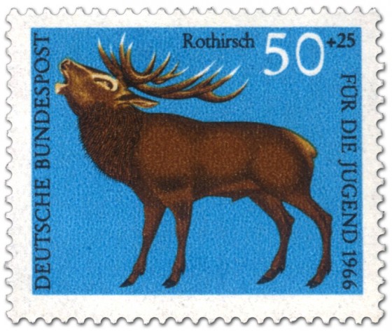 Stamp: Rothirsch (cervus elaphus)