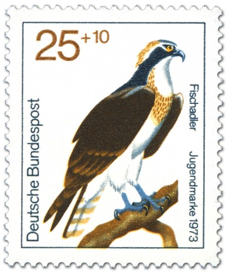 Stamp: Fischadler