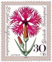 Stamp: Blume Lichtnelke