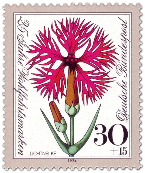 Stamp: Blume Lichtnelke