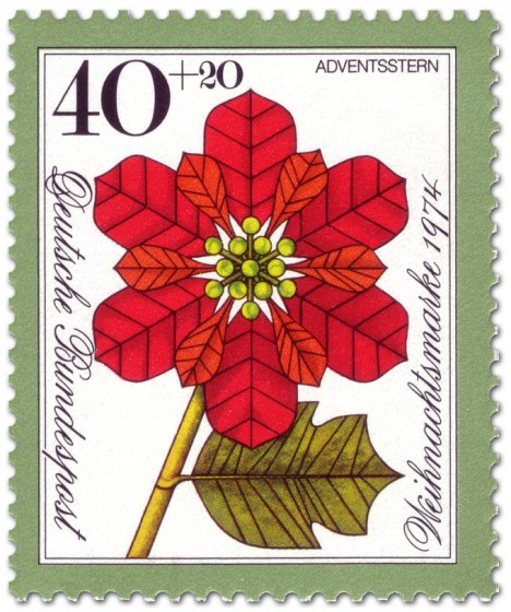 Stamp: Roter Weihnachtsstern (Weihnachtsmarke 1974)