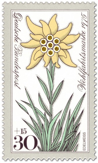 Stamp: Edelweiß (Blume)