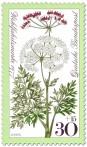Stamp: Kümmel Wiesenblume