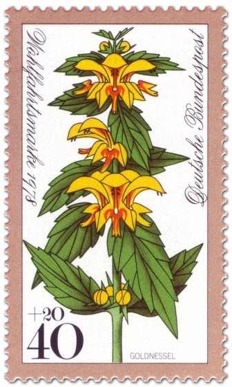 Stamp: Goldnessel (Waldblume)