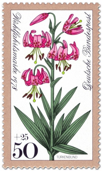 Stamp: Türkenbund (Waldblume)