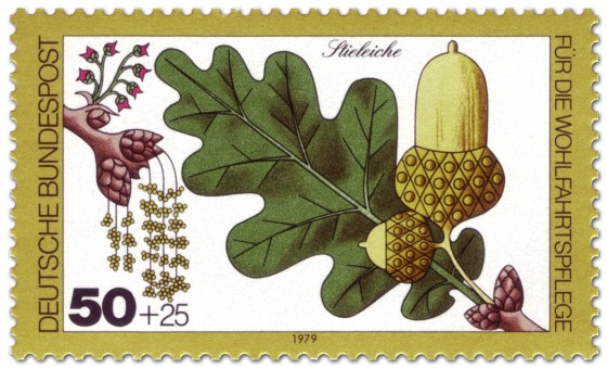 Stamp: Stieleiche Blatt und Eichel