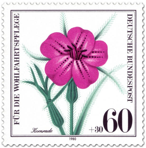 Stamp: Kornrade Blüte (Wildkraut)