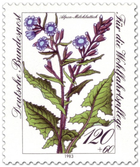 Stamp: Alpen Milchlattich