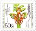 Stamp: Ohnhorn (Orchidee)