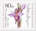 Stamp: Violetter Dingel Orchidee