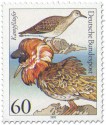 Stamp: Kampfläufer (Seevogel)
