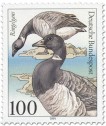 Stamp: Ringelgans