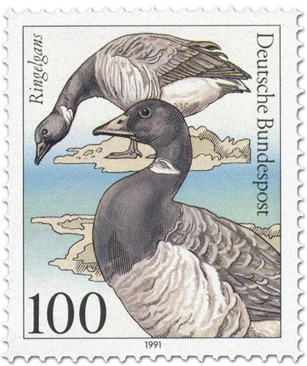 Stamp: Ringelgans Stamp: Ringelgans